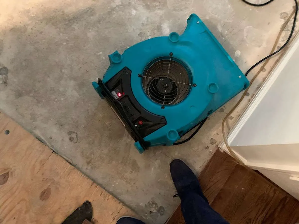 Air mover drying subfloor during Commercial Water Damage Restoration in Robinson